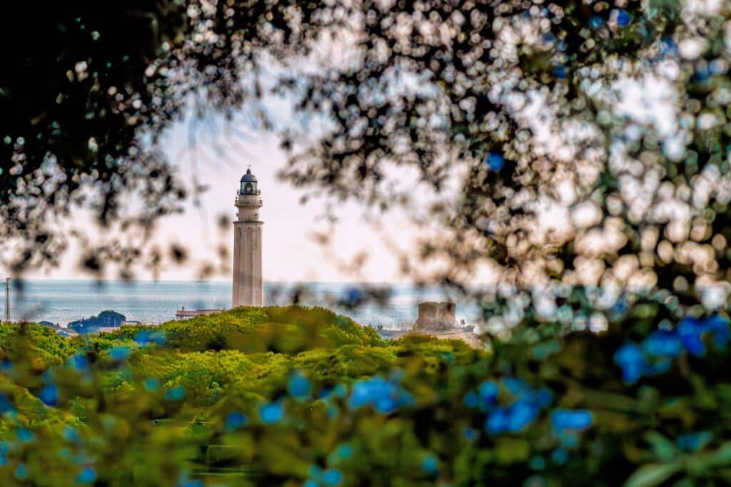 Un alto faro se alza junto al mar, enmarcado por frondosas ramas y flores azules en primer plano, con verdes árboles y el océano visibles al fondo.