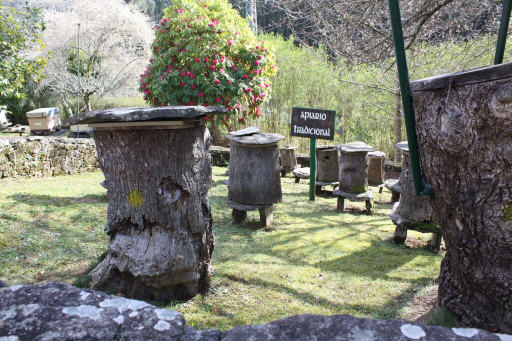 O Enredo do Abelleiro. Por Lameiro.