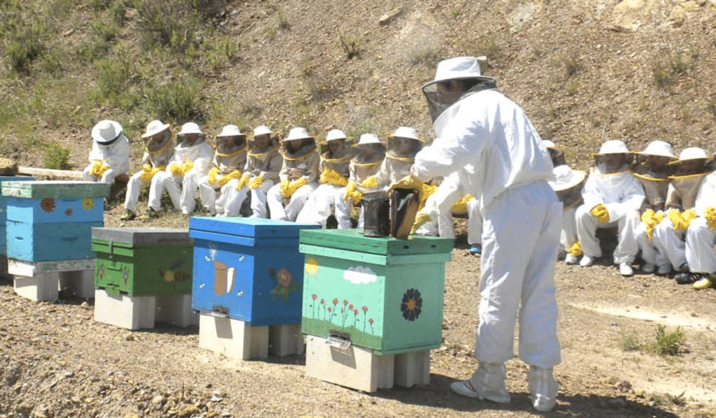 Visita a las colmenas del museo de Colmenar. Imagen del Museo de la Miel de Málaga.