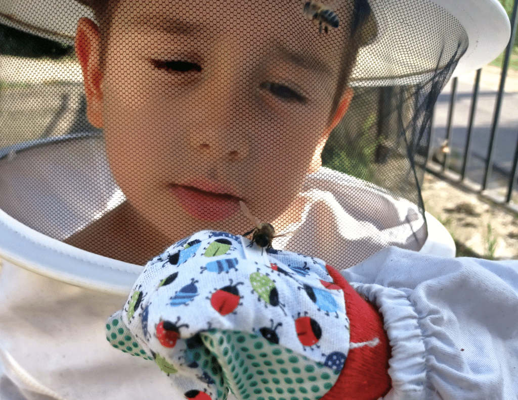 Santuario apícola Arkoni. Foto de la organización.