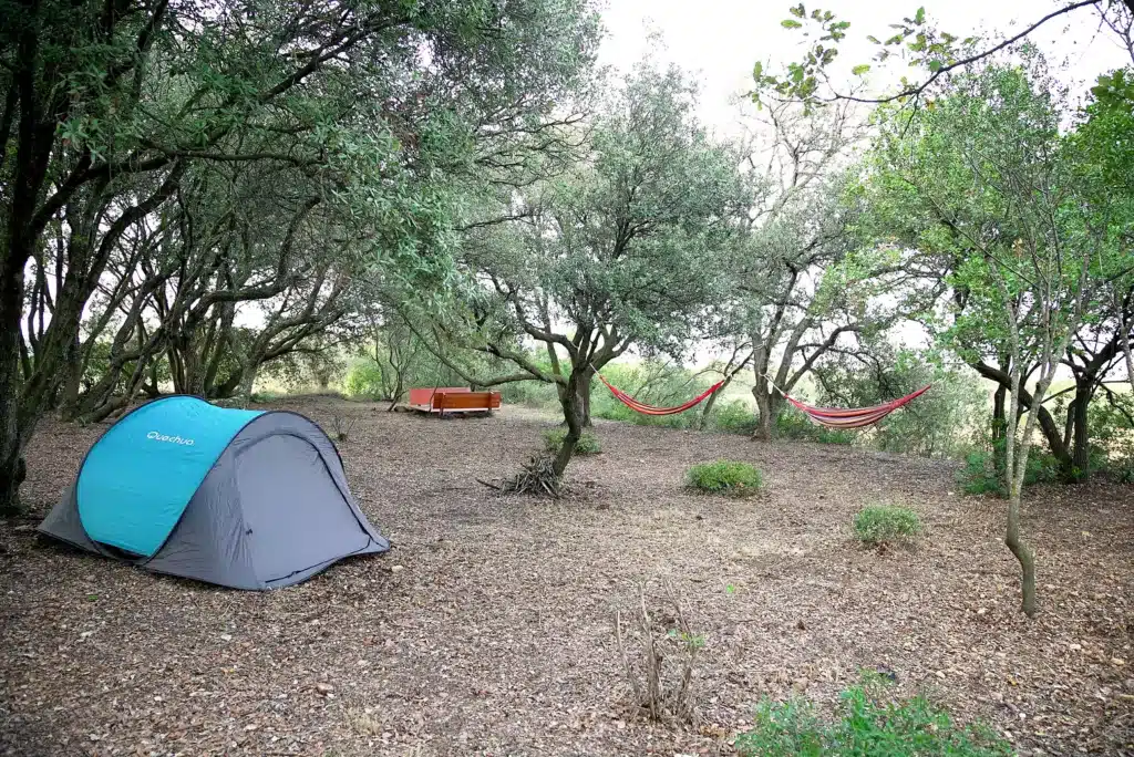Zona de acampada de El Bosc d’Ali Baba.