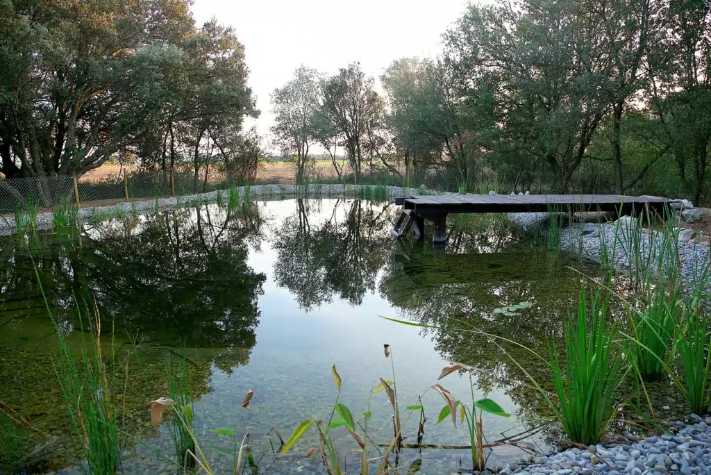 Exteriores de El Bosc d’Ali Baba.