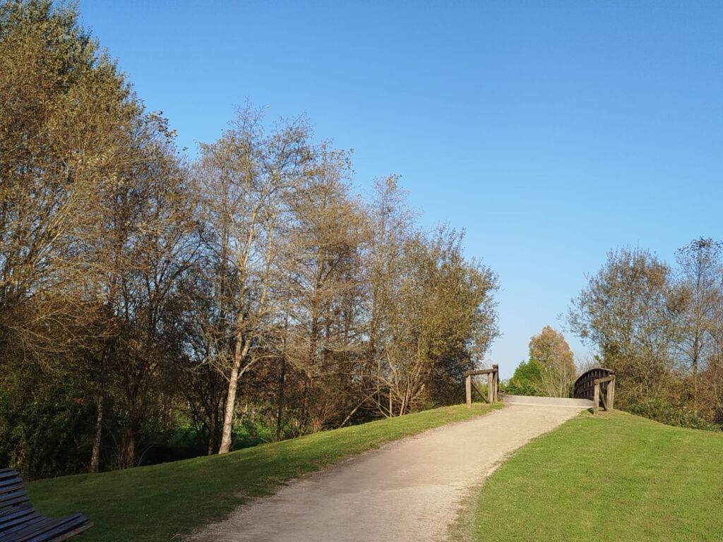 Un camino de tierra sube por una colina cubierta de hierba hacia un pequeño puente de madera, rodeado de árboles con escaso follaje otoñal bajo un cielo azul despejado. A la izquierda del camino hay un banco de madera.