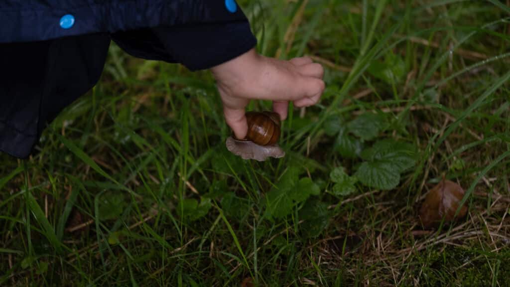 Niño recogiendo caracoles.