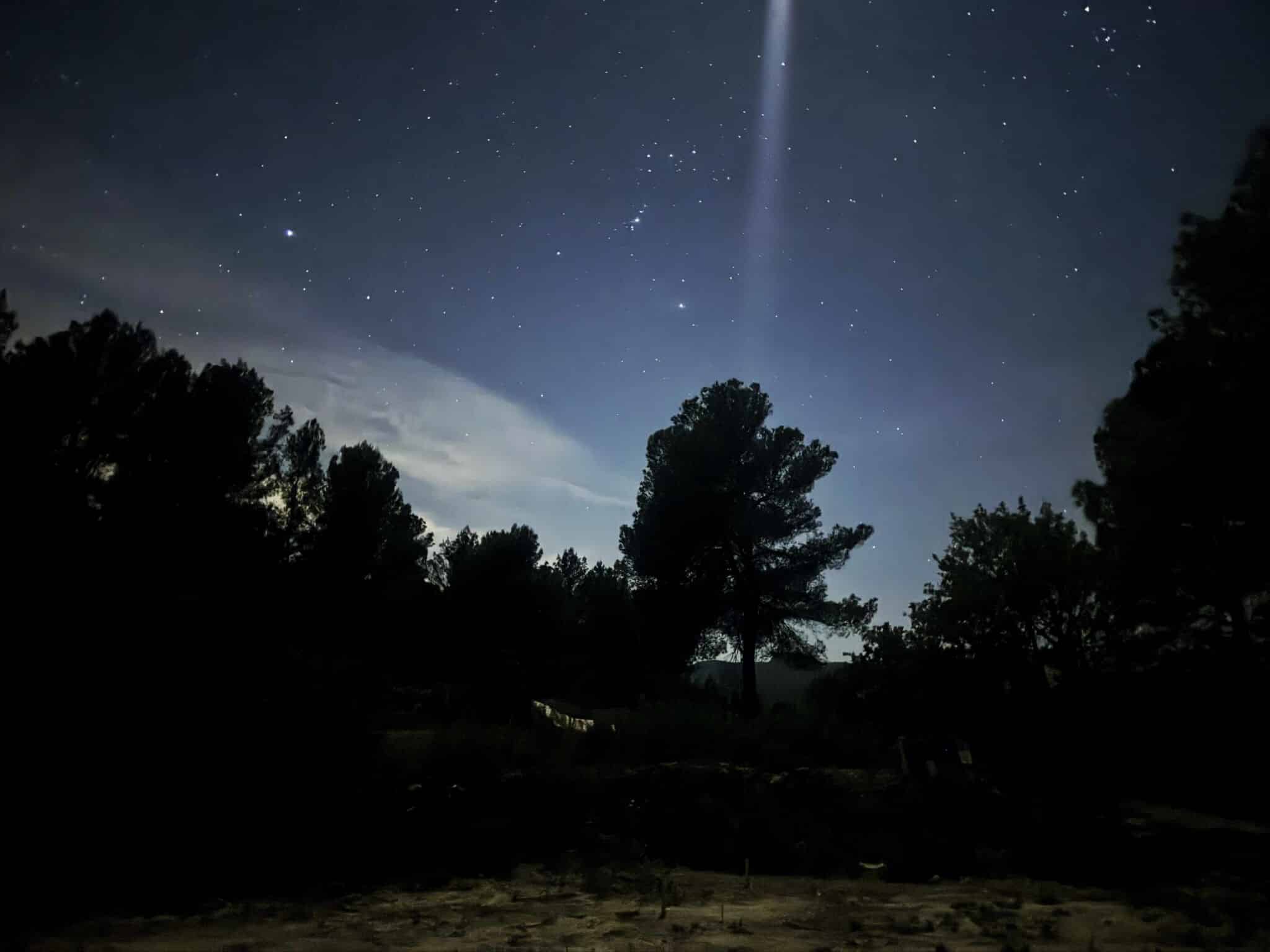 Escena nocturna al aire libre con un paisaje oscuro y siluetas de árboles bajo un cielo estrellado. Un brillante haz de luz desciende del cielo, iluminando parte de la arboleda.