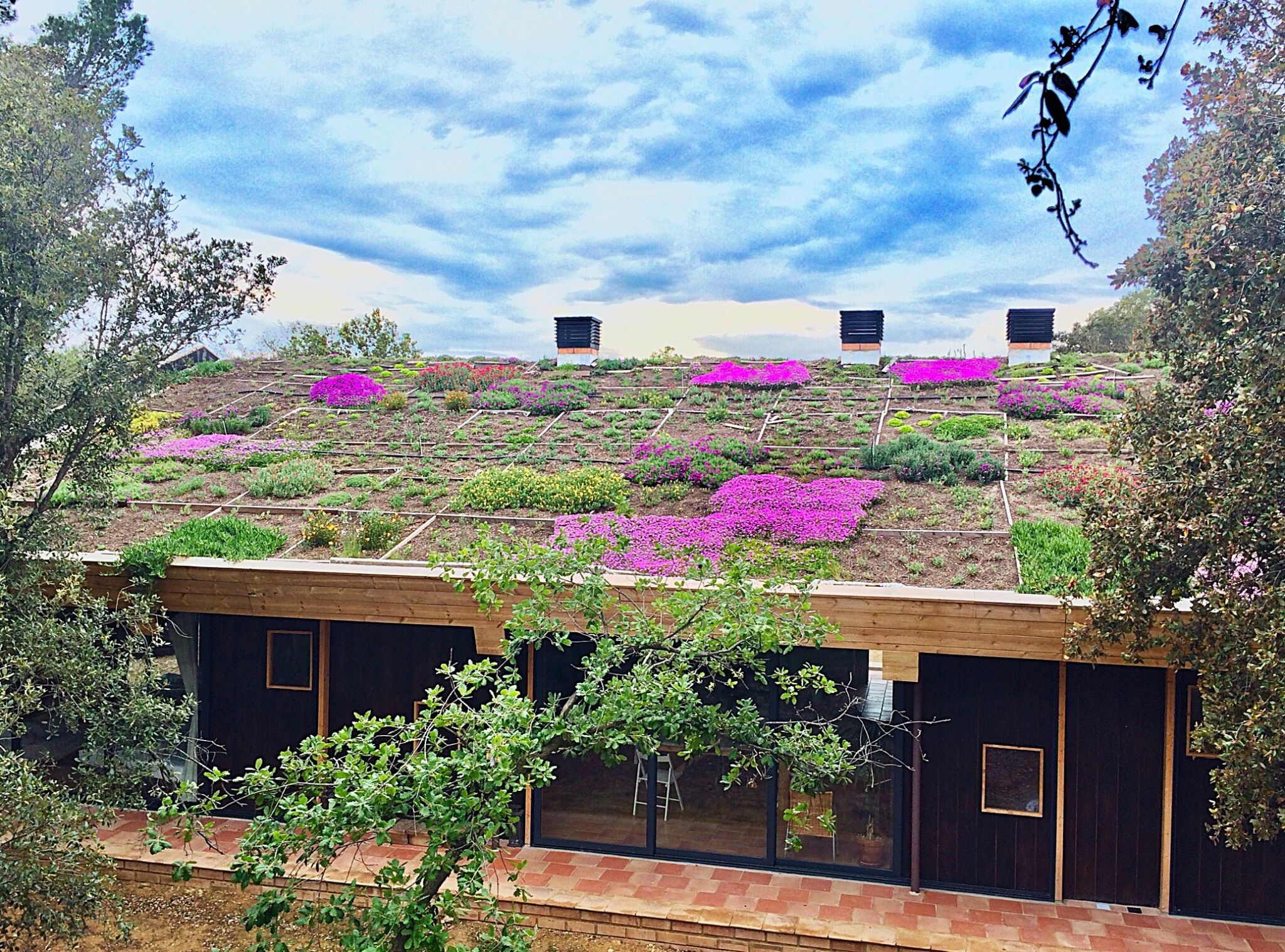 Bajo un jardín de flores en el techo: el rincón de cuento en el que querrás despertarte