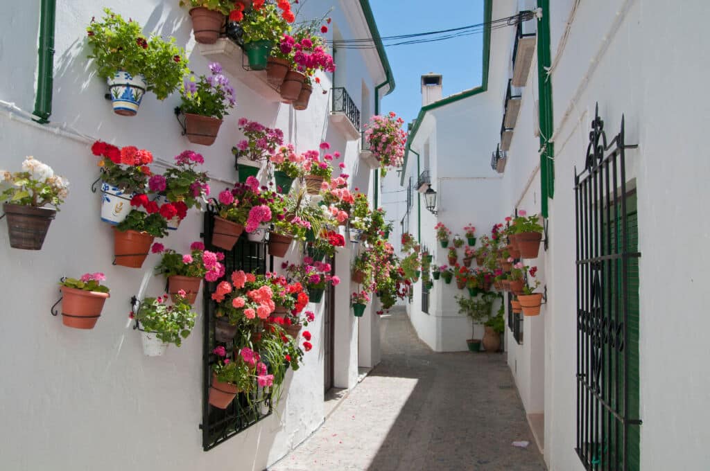 Una estrecha callejuela bordeada de edificios blancos, donde coloridas macetas llenas de vibrantes flores rosas, rojas y naranjas decoran las paredes bajo un soleado cielo azul.