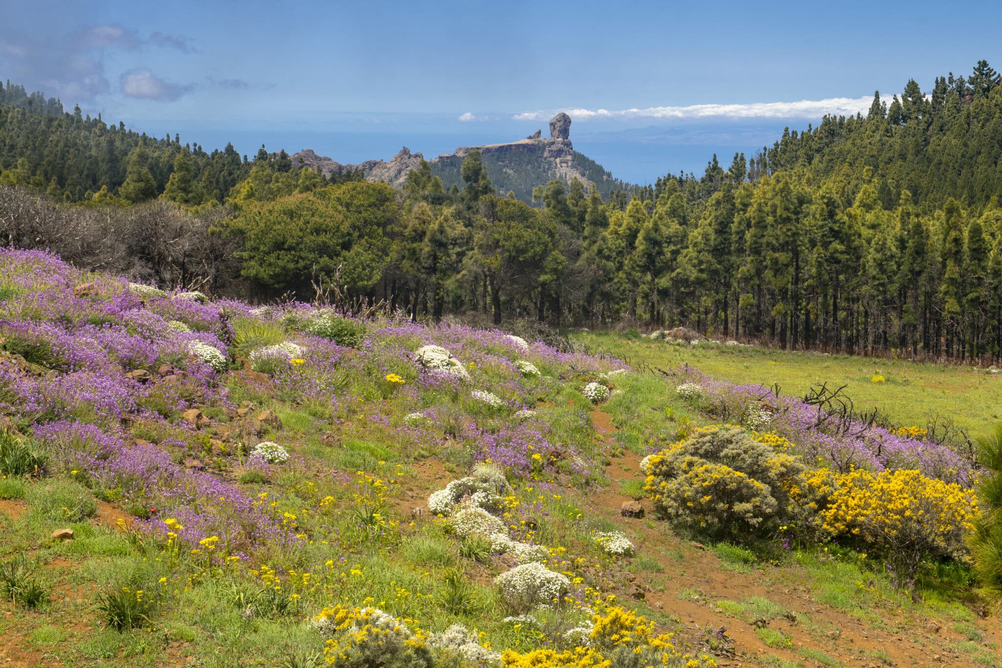 Los imprescindibles de Gran Canaria: viaje al corazón de la isla entre volcanes, pueblos con encanto y sabores ancestrales