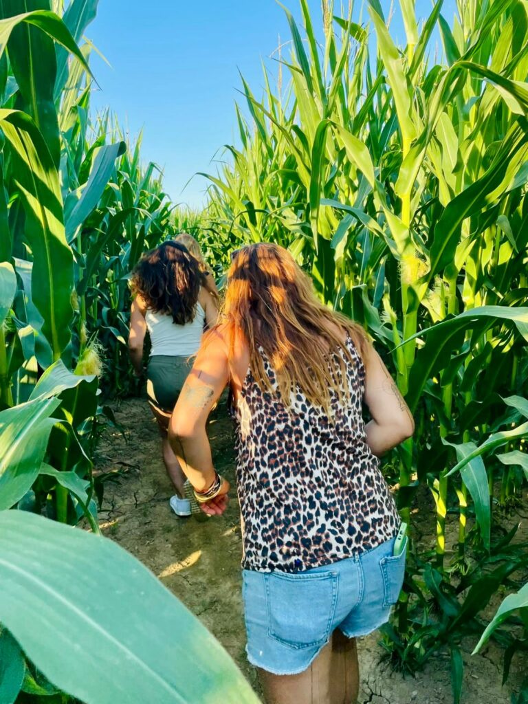 La casa rural del Empordà que transforma sus campos de maíz en un escape room gigante 🚜🌽