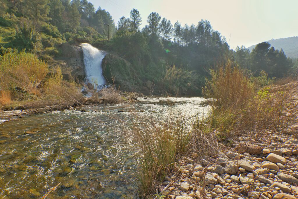 Un río fluye sobre rocas y guijarros con una cascada al fondo, rodeado de árboles y arbustos verdes bajo un cielo brumoso.