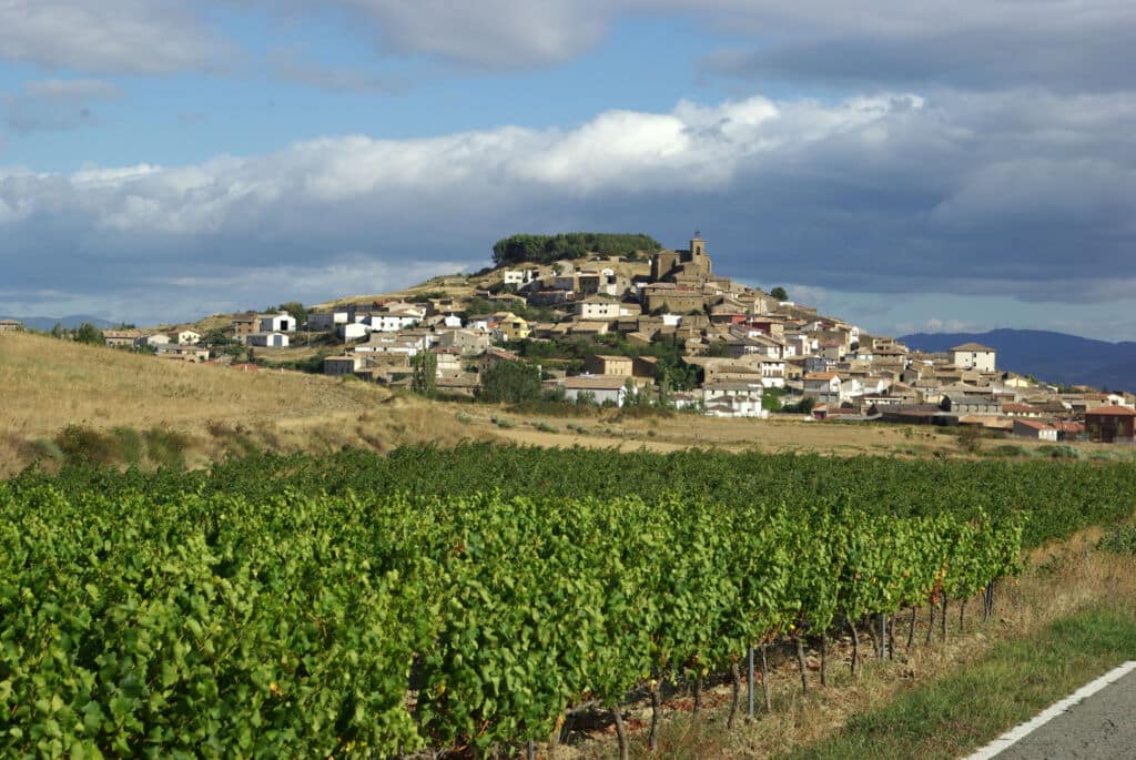 Panorámica de Aibar/Oibar, en Navarra. Foto del Archivo del patrimonio inmaterial de Navarra