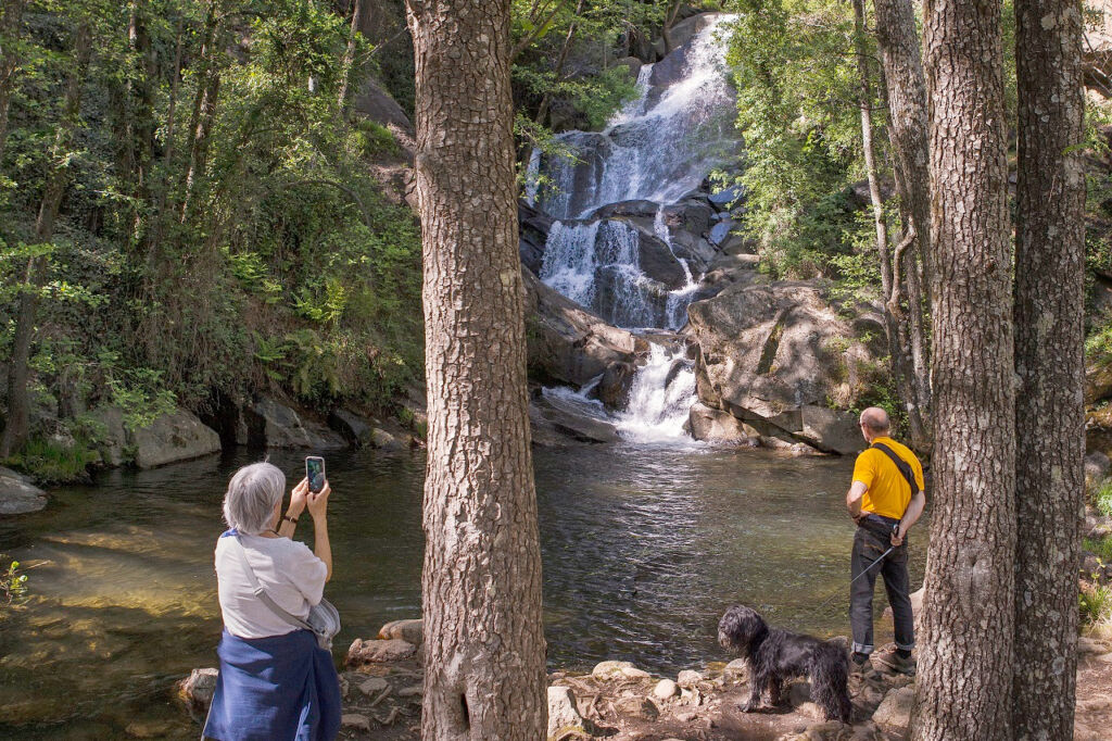 Una mujer mayor saca una foto de una cascada con su teléfono mientras un hombre con camisa amarilla y un perro negro permanecen cerca, rodeados de árboles en un frondoso bosque.