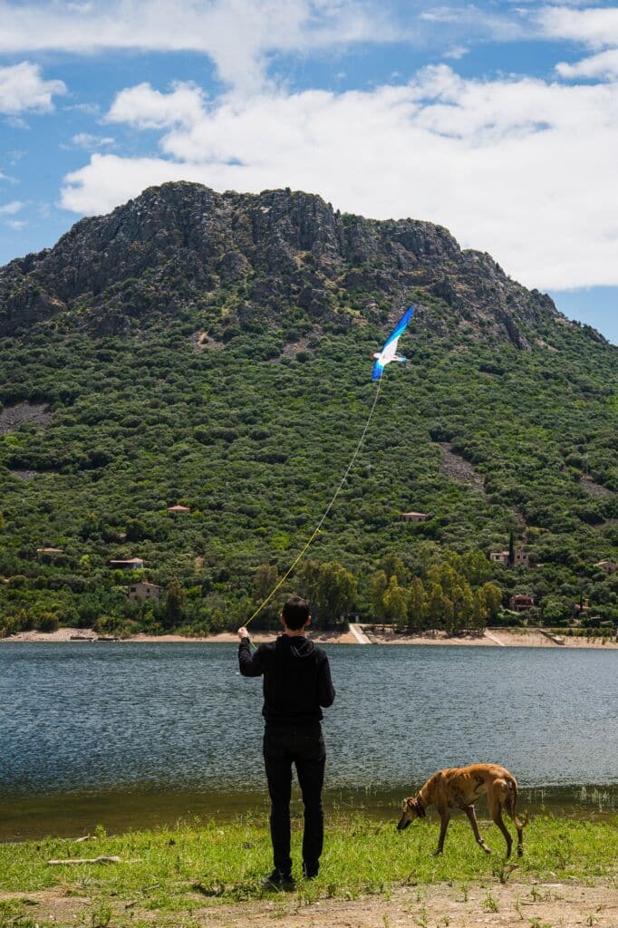 Una persona está junto a un lago volando una cometa azul y blanca, con un perro marrón a su lado. Detrás de ellos, una montaña verde cubierta de árboles se eleva bajo un cielo parcialmente nublado.
