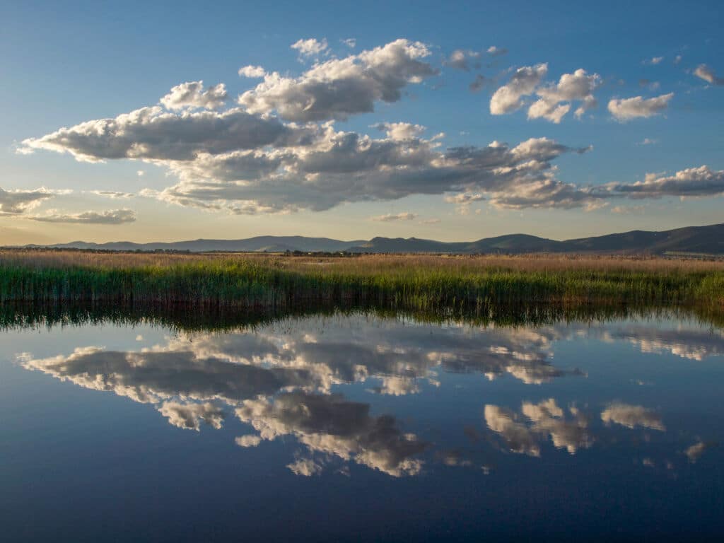 Laguna de las Tablas de Daimiel. Por Juanmi.