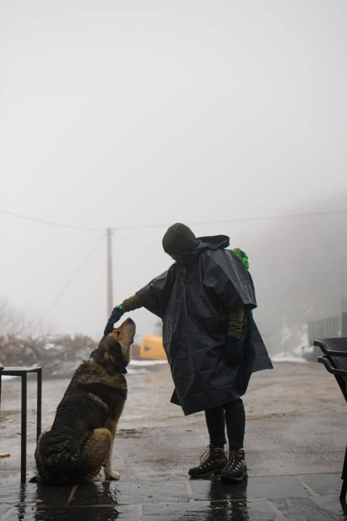 Un peregrino del Camino de Santiago saluda a un perro. Por turculet
