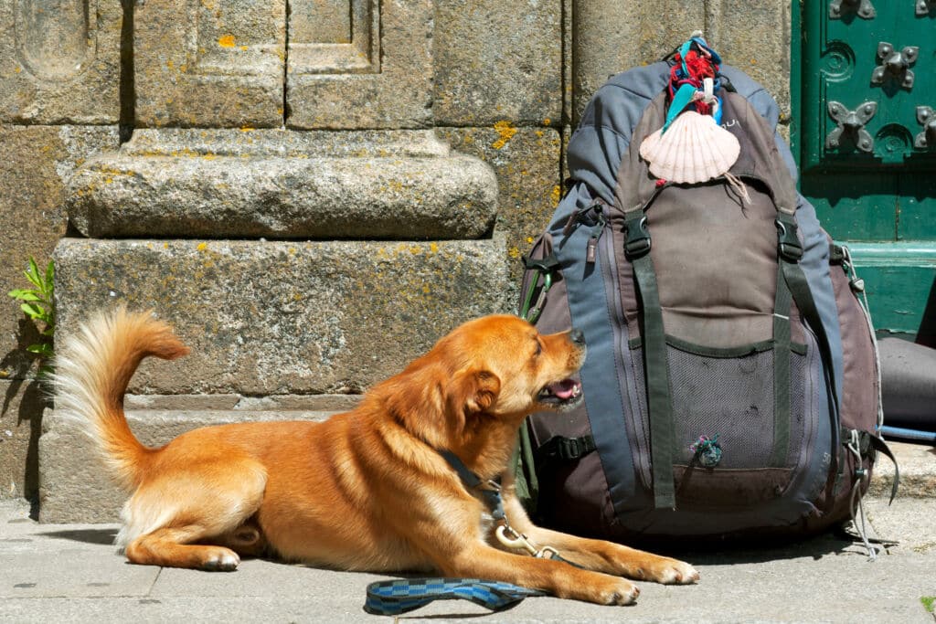 Un "perregrino" haciendo el Camino de Santiago. Por GDM photo and video