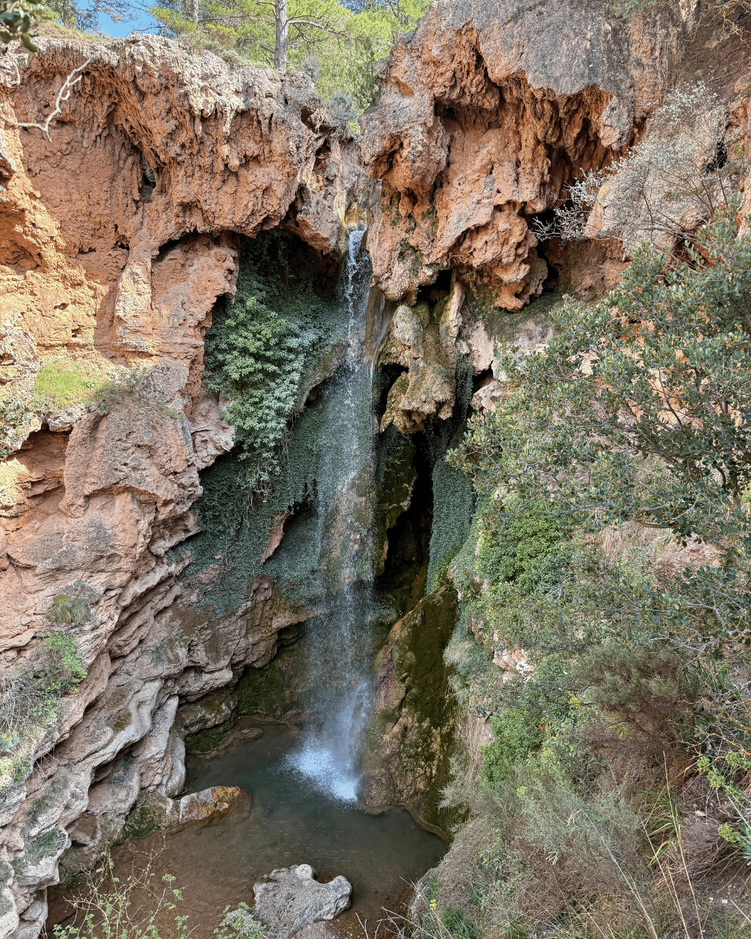 Una pequeña cascada fluye por un acantilado rocoso y rojizo de Asturias, cubierto de musgo verde y plantas, cayendo en cascada a un estanque transparente rodeado de piedra escarpada y vegetación. Árboles y arbustos florecen alrededor de esta serena escena natural.