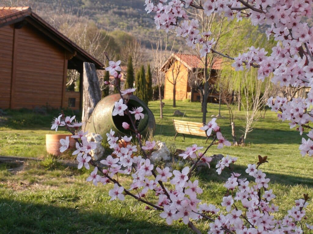 Apartamentos Rurales El Rincón del Jerte (Cáceres)