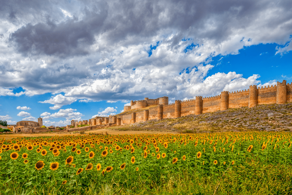Un campo de girasoles crece frente a antiguas murallas de piedra con numerosas torres bajo un espectacular cielo azul parcialmente nublado. La escena es vibrante y muestra una mezcla de naturaleza y arquitectura histórica.