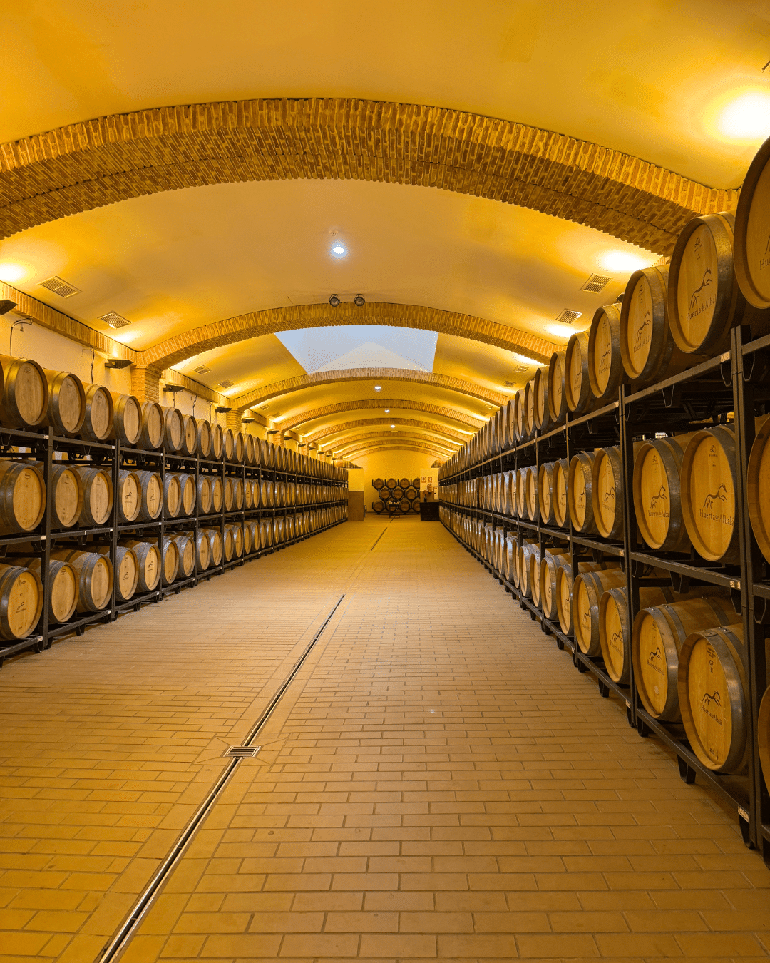 Bodega subterránea en Asturias con hileras de grandes barriles de madera apilados en estanterías metálicas a ambos lados, techo de ladrillo arqueado y una cálida iluminación amarilla que crea un ambiente acogedor.