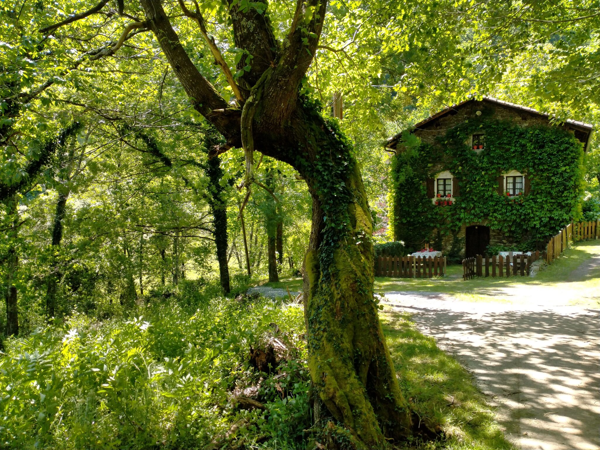Casas rurales que se mimetizan con el paisaje: dormir dentro de una cueva, un bosque o una muralla