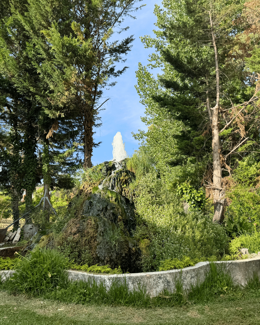 Una pequeña fuente de piedra con agua que salpica hacia arriba está rodeada de exuberante vegetación, árboles y un borde curvado de hormigón bajo el claro cielo azul de Asturias.