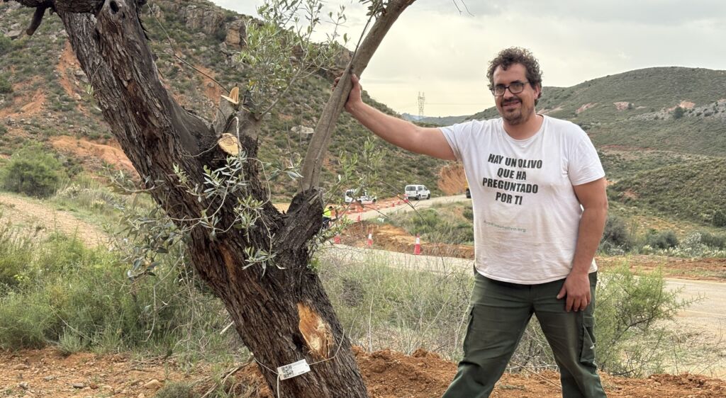 El proyecto de apadrinamiento de olivos en Teruel. Foto de apadrinaunolivo.org