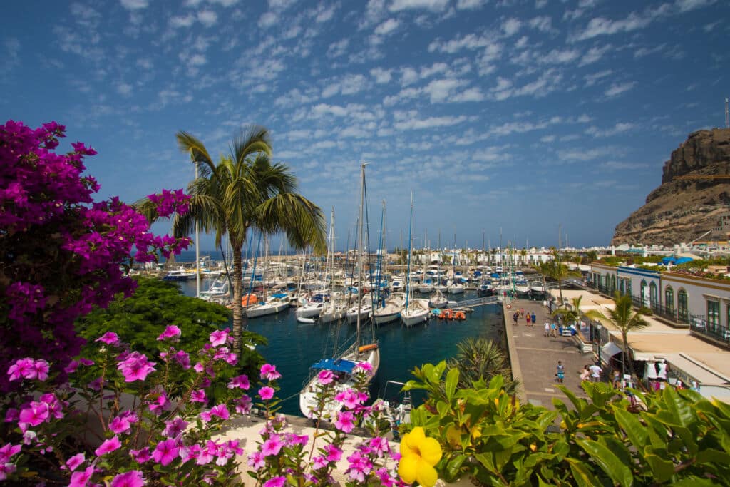 Un vibrante puerto deportivo con numerosos veleros atracados bajo un cielo azul con nubes dispersas, rodeado de coloridas flores, palmeras y edificios frente al mar.