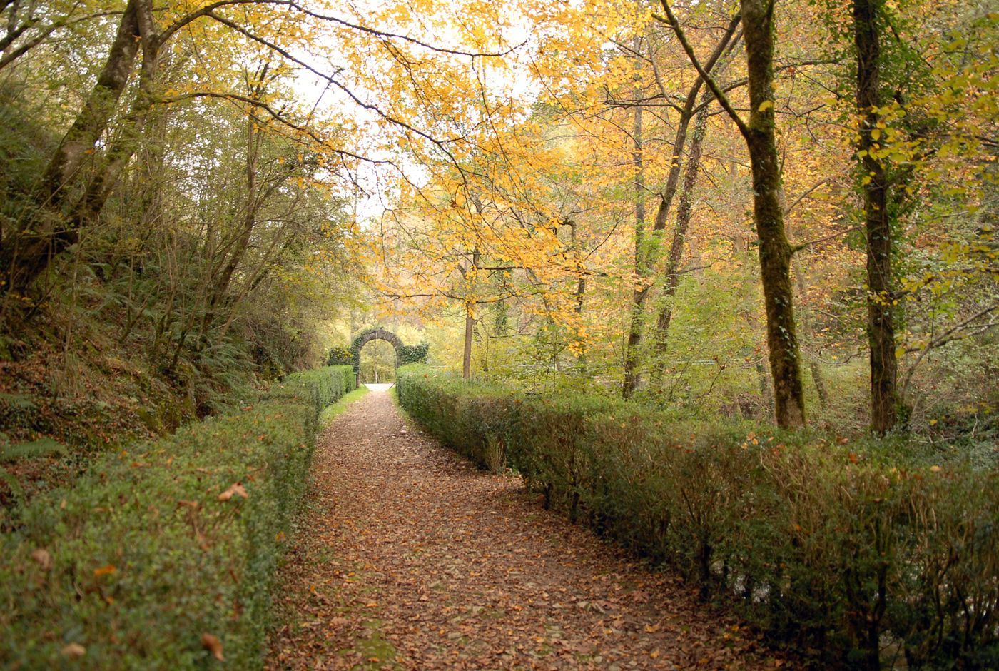 Bosque de San Juan Xar (Navarra). Por Baztan Bidasoa Turismoa
