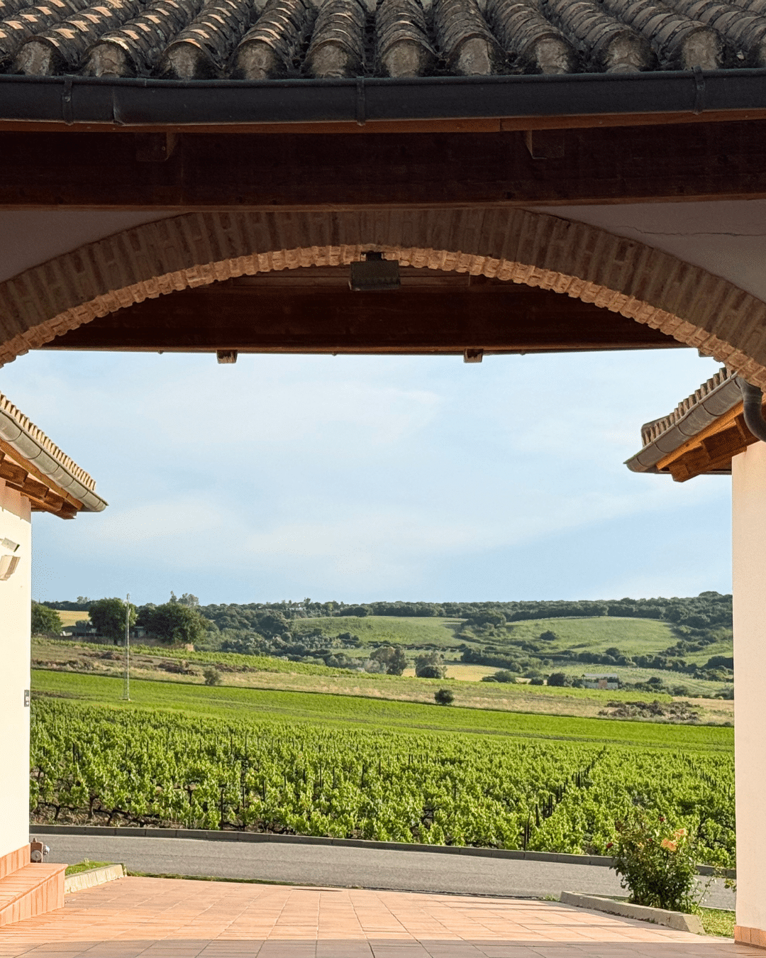 Vista a través de un arco de piedra de un viñedo en Asturias, con frondosas vides verdes, campos y suaves colinas onduladas bajo un cielo parcialmente nublado. El arco forma parte de un edificio con tejado de tejas en primer plano.