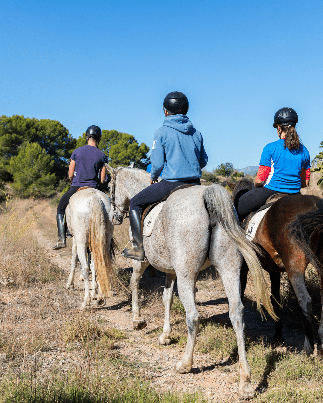 Tres personas con casco montan a caballo por un camino de tierra en una zona rural, rodeados de hierba y árboles bajo un cielo azul despejado.