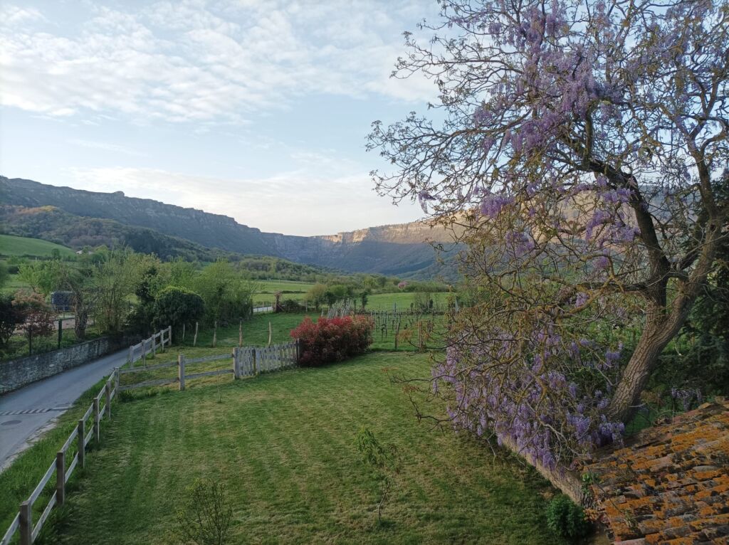 Camino desde la Torre Ortiz de Zárate. Cedida por la propiedad.