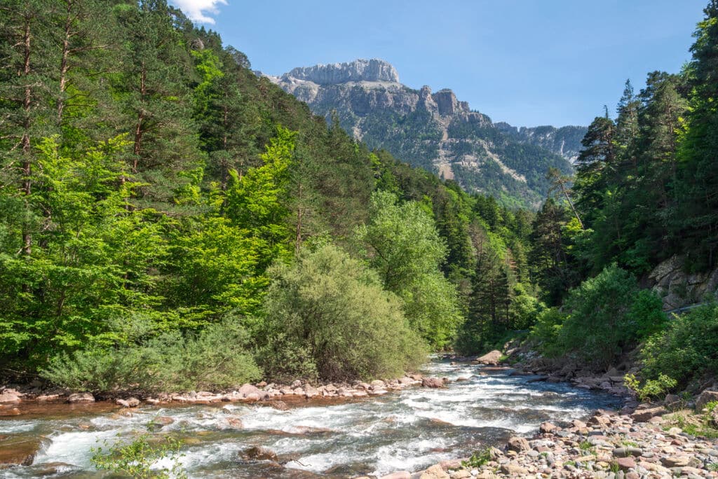Río Aragón Subordán en su paso por el valle de Hecho. Por inigolaitxu.