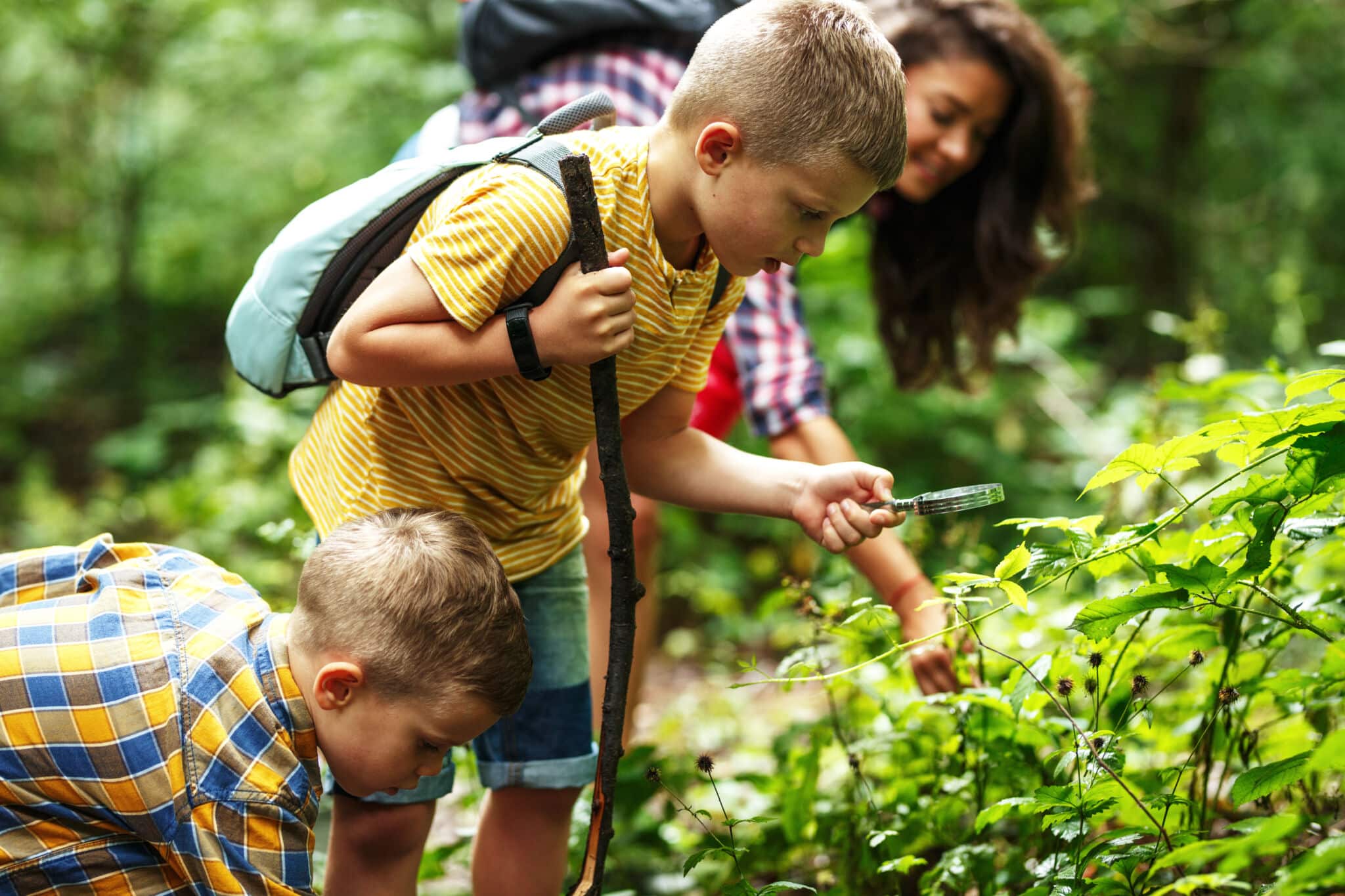 Niños aprendiendo en la naturaleza. Por BalanceFormCreative.