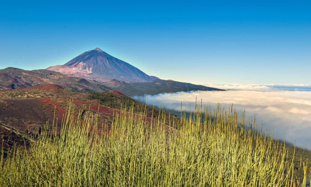 Mar de nubes sobre el Valle de La Orotava. Por Lichtwolke99