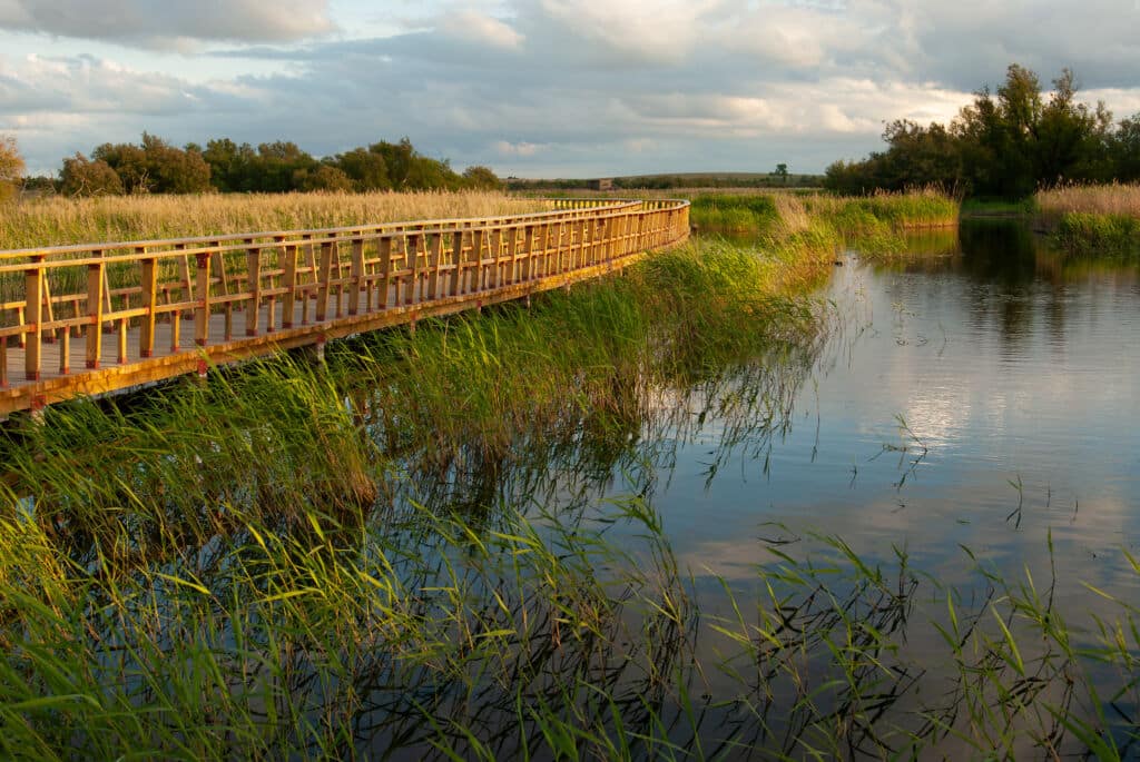 Itinerario de la Isla del Pan por el Parque Nacional de las Tablas de Daimiel. Por Orion76