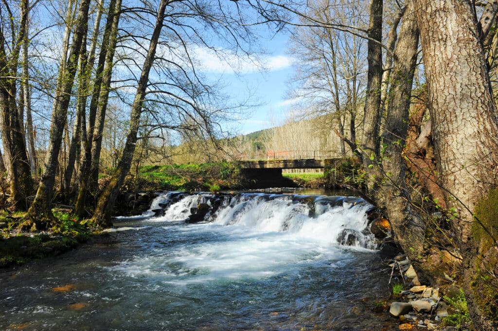 Cascada y puente del río Cereixo en el bosque cerca de Laza. Por joserpizarro.