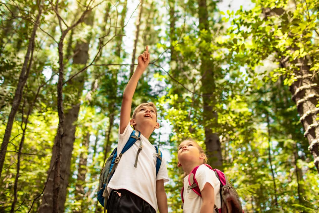 Dos niños en una ruta de senderismo. Por kieferpix.