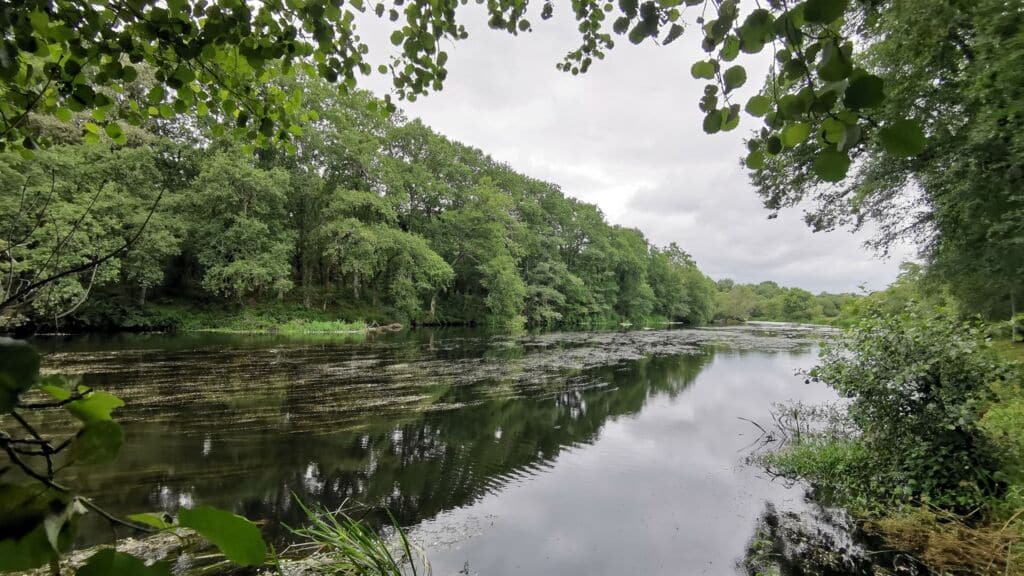 El río Miño a su paso por Outeiro de Rei (Lugo). Por CDN
