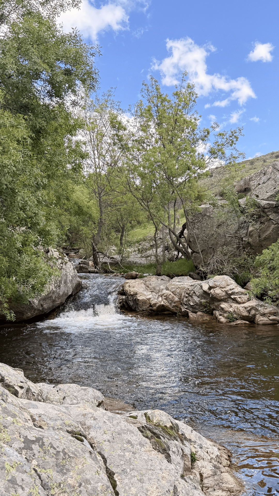 Una pequeña cascada fluye sobre las rocas hacia un claro arroyo rodeado de verdes árboles y grandes rocas bajo un cielo azul parcialmente nublado, capturando la tranquila belleza de Asturias.