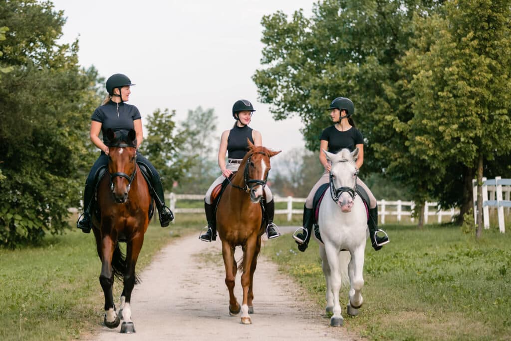 Aprender a montar a caballo. Por 24K-Production