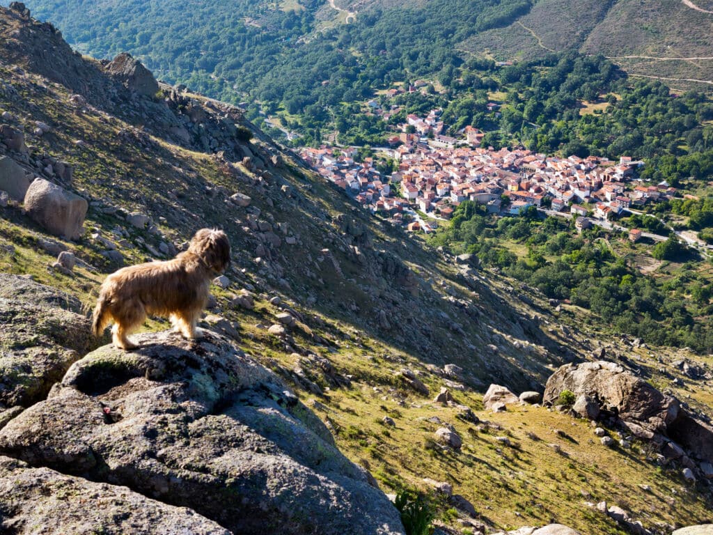 Navalacruz (Ávila).