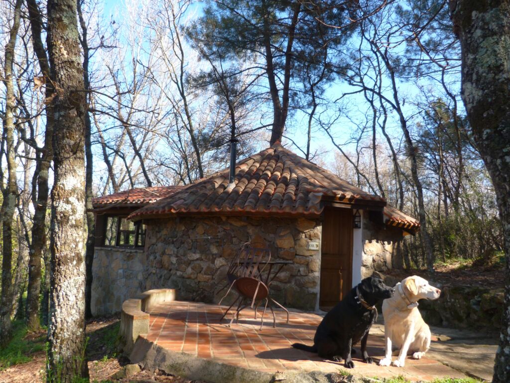 Cabañas Casa Crisol SPA (Ávila)