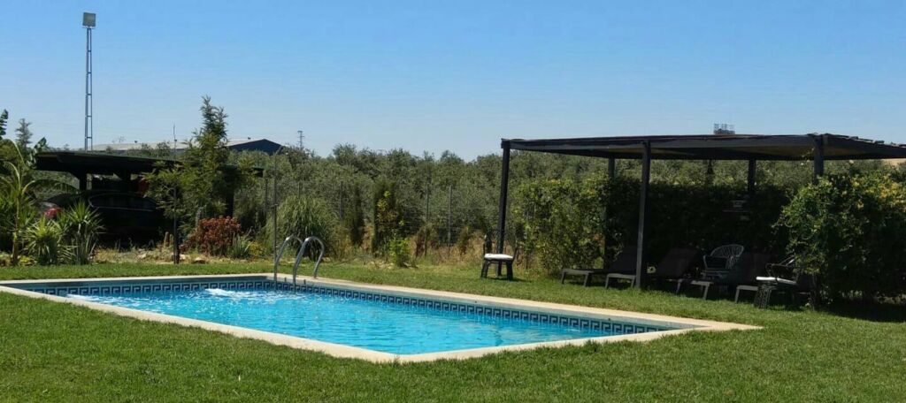 Una pequeña piscina rectangular al aire libre rodeada de césped verde, con una zona de descanso a la sombra y árboles al fondo, bajo un cielo azul y despejado.