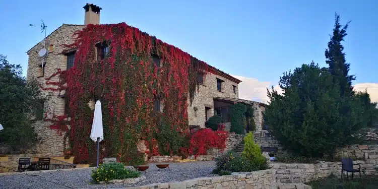 Una casa de piedra cubierta de hiedra roja se alza en un jardín con muros de piedra, árboles, sillas de exterior y sombrillas plegadas bajo un cielo azul.