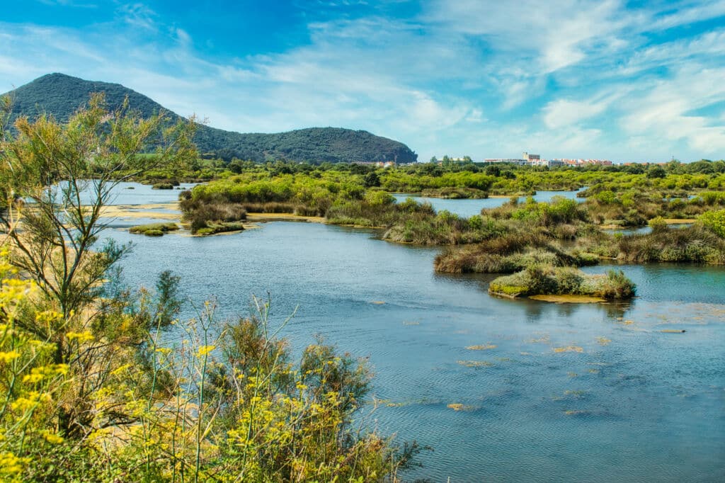 Parque Natural de las Marismas de Santoña en Cantabria. Por David Andres