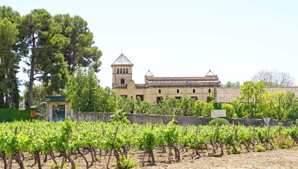 Viñedos en el Penedès, Barcelona. Por sanguer