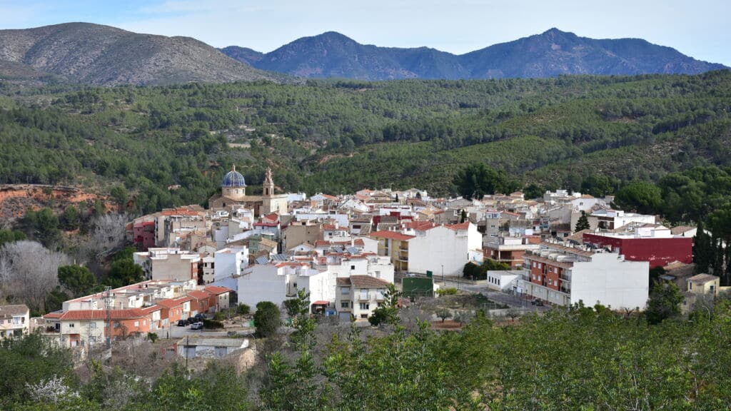 Navajas, en Castellón. Por gallas.
