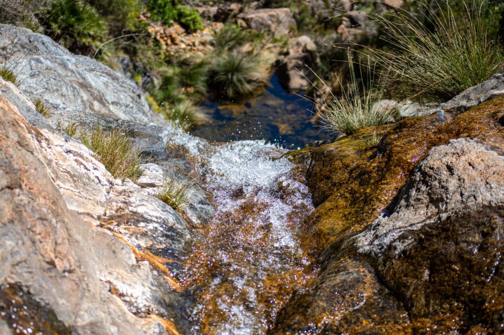 Un arroyo del río de los Caballos, en la Sierra de las Nieves (Tolox, Málaga). Por Vitali