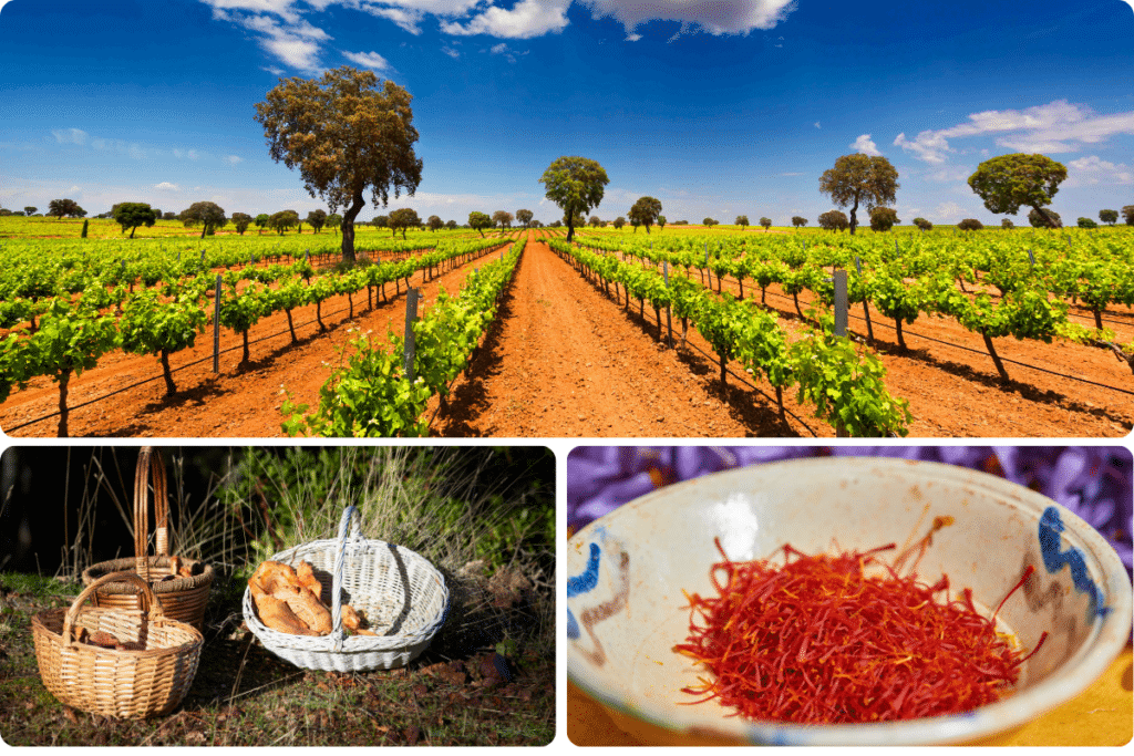 Un viñedo bajo un cielo azul con árboles dispersos, cestas con pan y queso sobre la hierba, y un cuenco lleno de hebras rojas de azafrán.